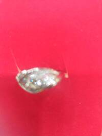 「黃金」任務！鑽石掉進馬桶急叩抽水肥 台中男奮力打撈尋回